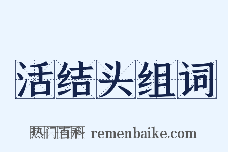 活结头组词是什么意思的图片